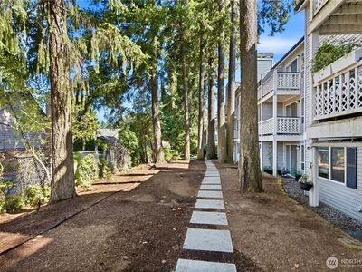 1003 156th Avenue NE #308