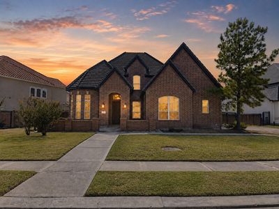3908 Sandhills Pine Cv