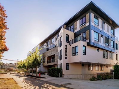 97 Elmwood St #313