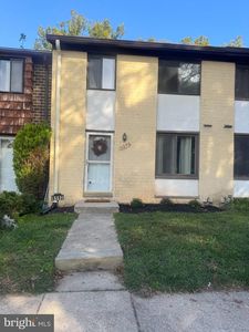 6592 Sweet Fern