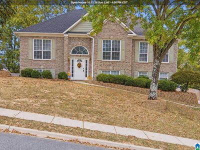117 Lane Park Dr