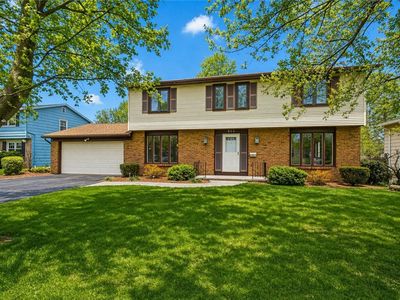 504 Black Walnut Dr
