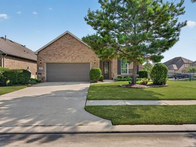 261 Palomino Ct