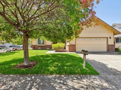 1443 Dandelion Way