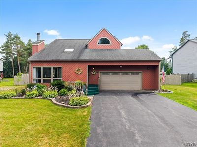7719 Black Willow