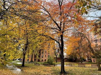 150-29 72 Road #6