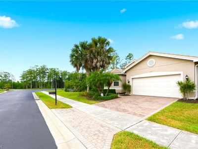 10051 Mimosa Silk DR