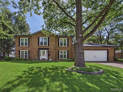 806 Meadowlark Dr