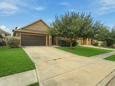 882 Noel Forest