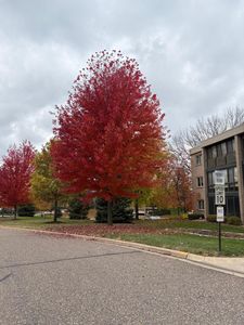 4350 Brookside Ct APT 302