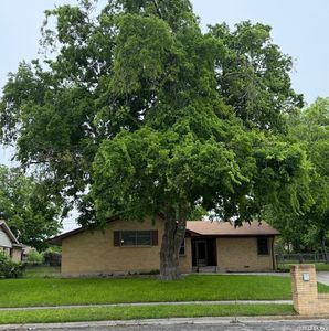 509 Joe Morse Dr