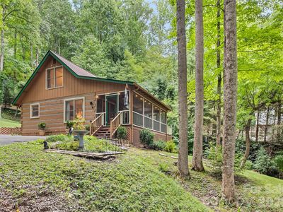 294 Laurel Branch Rd
