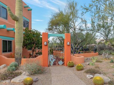 9348 N Camino De Plz