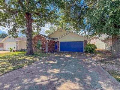 312 Pin Oak Ct