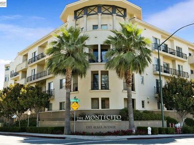1315 Alma Ave APT 311