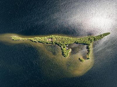 #36 Snake Island