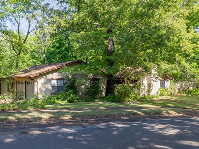 35 Vine Grove Ln