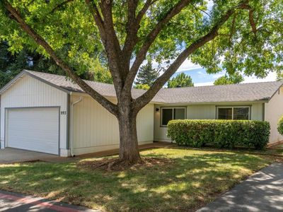 993 Jonell Ln