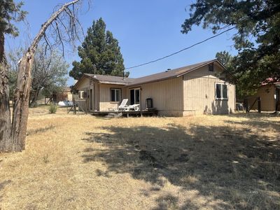 137 Lion Ln