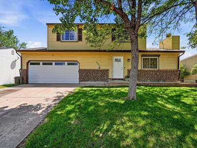 2412 Tulip St