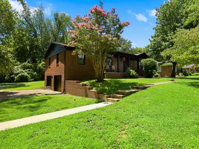 305 Redwood Dr
