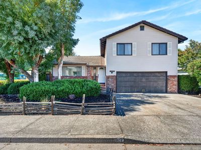100 Roan Court
