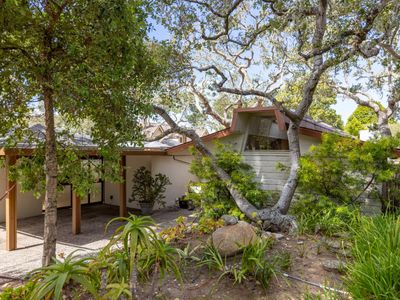 3 SW 13th San Carlos St