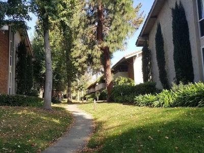 31564 Lindero Canyon Rd #5