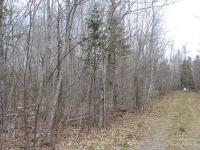 Property at 00 Green Lake Road, Dedham, ME