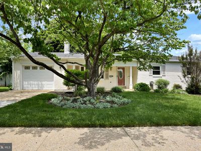 415 Alison Ave