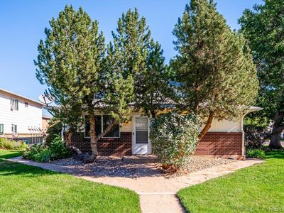 7309 W Hampden Avenue #4801