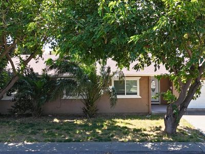 229 Long Street