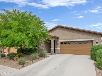 17369 S Nicholas Falls Dr
