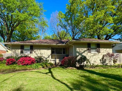 204 Leonora Dr