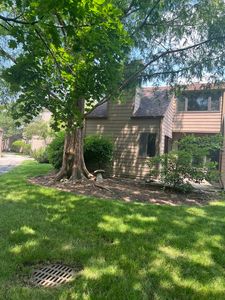 3341 Beacon St UNIT 31