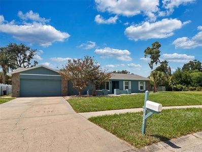 2423 BUCKHORN MANOR DRIVE