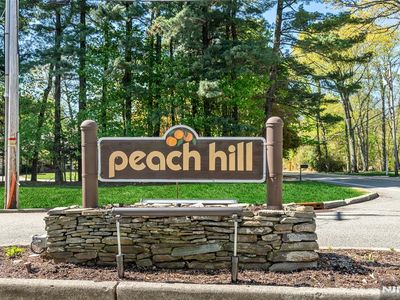 57 Peach Hill Ct