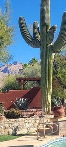 700 E Calle De Cibola
