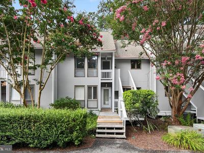 39682 Round Robin Way Unit 3305