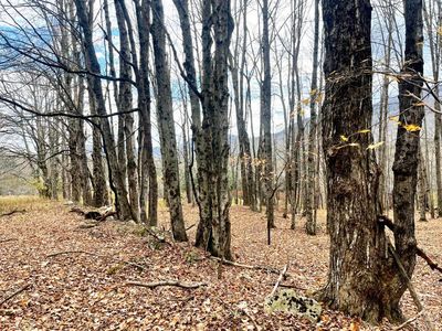 Property at 0 Shad Rd, East Jewett, NY