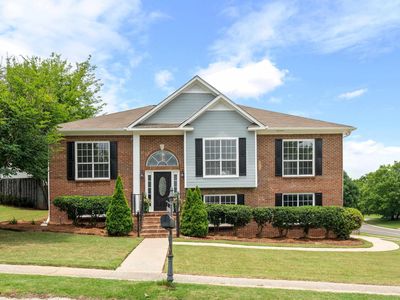 2461 Mountain Dr