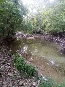 1666 Pointer Creek Rd