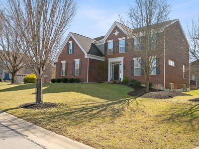 64 Villagrande Blvd