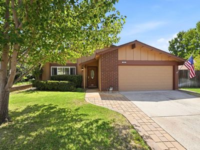 6890 Olive Tree Way