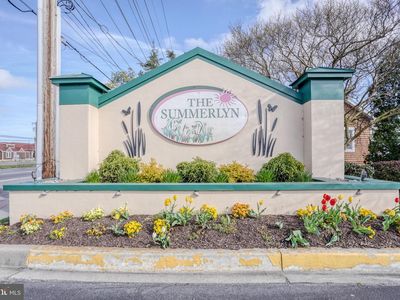 34297 Summerlyn Dr APT 505