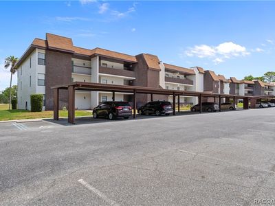 3 Cypress Run APT 31C