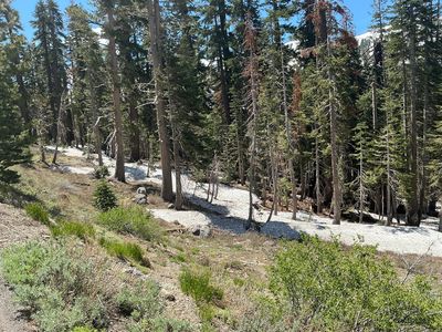 Property at 553 E Meadows Dr, Kirkwood, CA