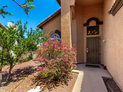 1946 E Alta Vista Rd