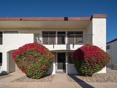 240 S Old Litchfield Rd UNIT 107