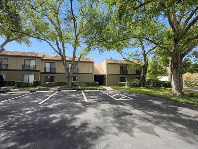240 Moree Loop APT 3